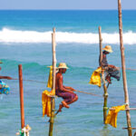 sri-lanka-fishing